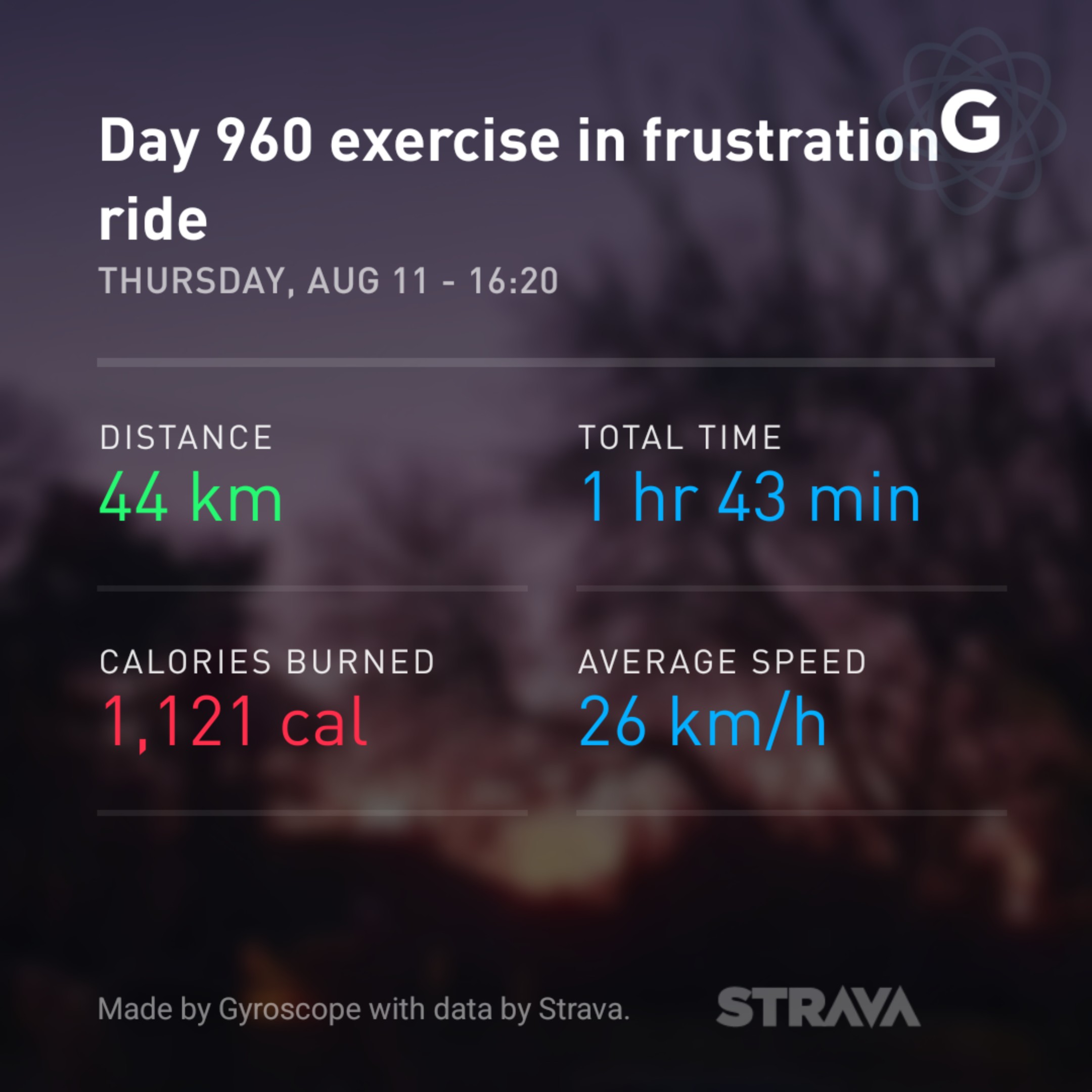 Day 960 exercise in frustration