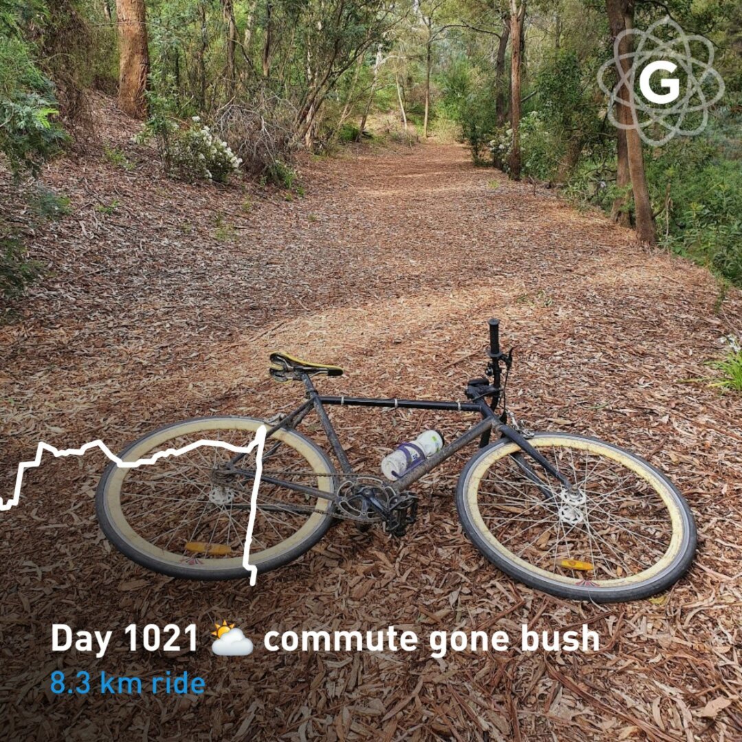 Day 1021 ⛅ commute gone bush