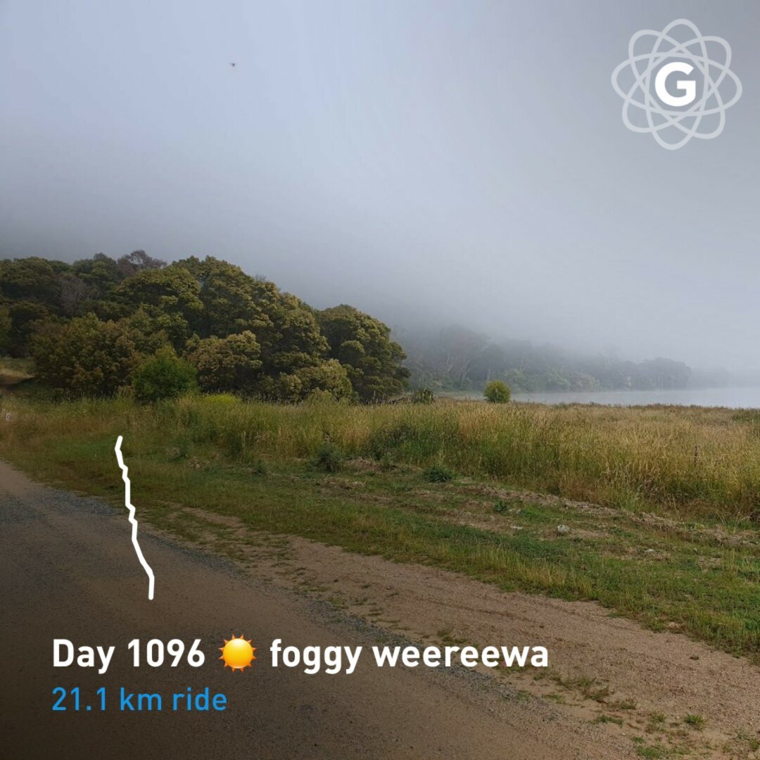 Day 1096 ☀️ foggy weereewa