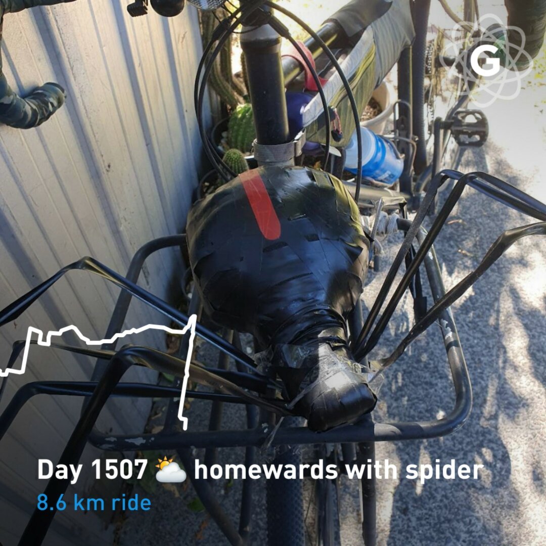 Day 1507 ⛅ homewards with spider