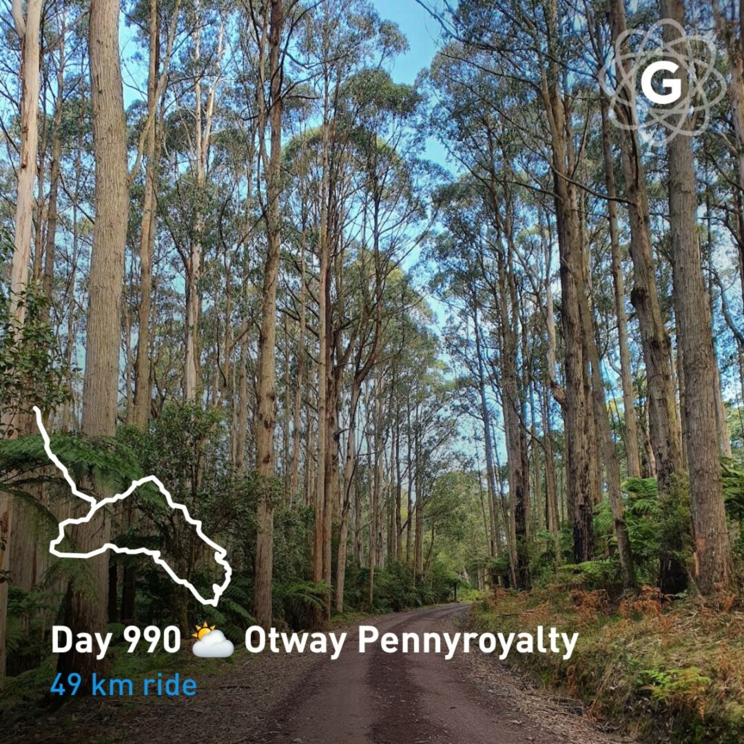 Day 990 ⛅ Otway Pennyroyalty