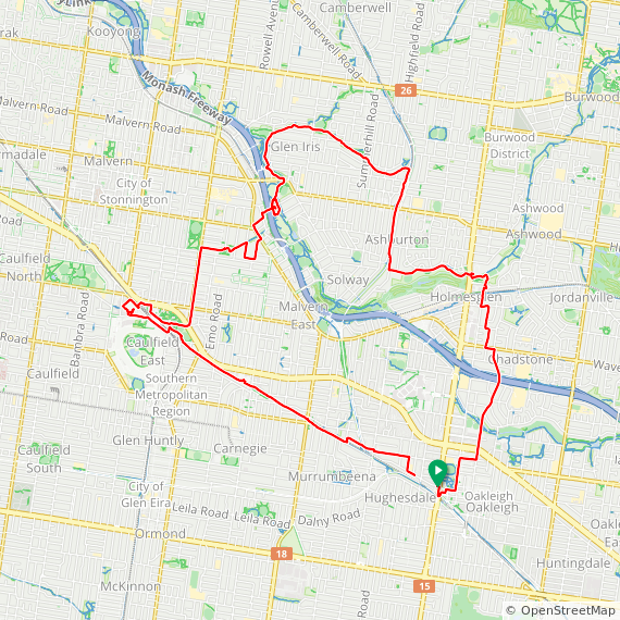 Day 1113 ☀️ ferndale and about