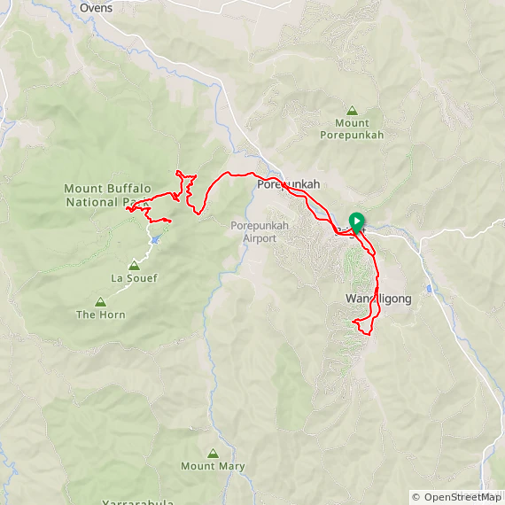 Sun ⛅ buffalo and a bit more