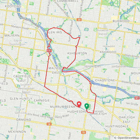 Day 568 ⛅ sunshine and wattles