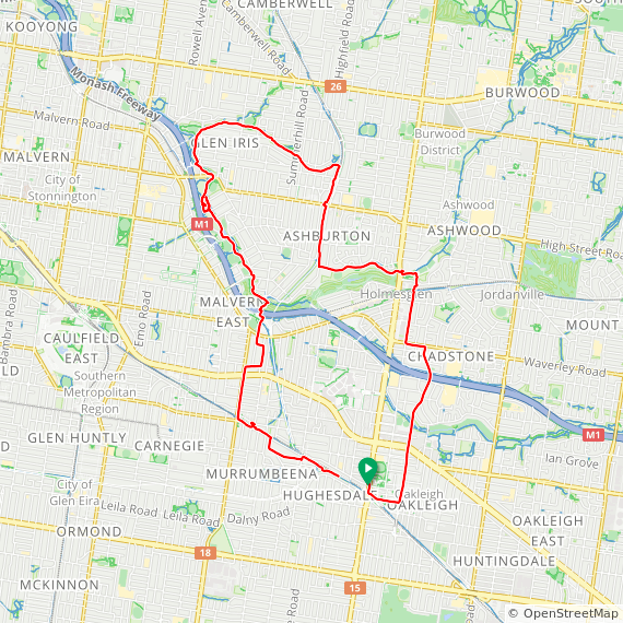 Day 664 🌧 frogs and dogs